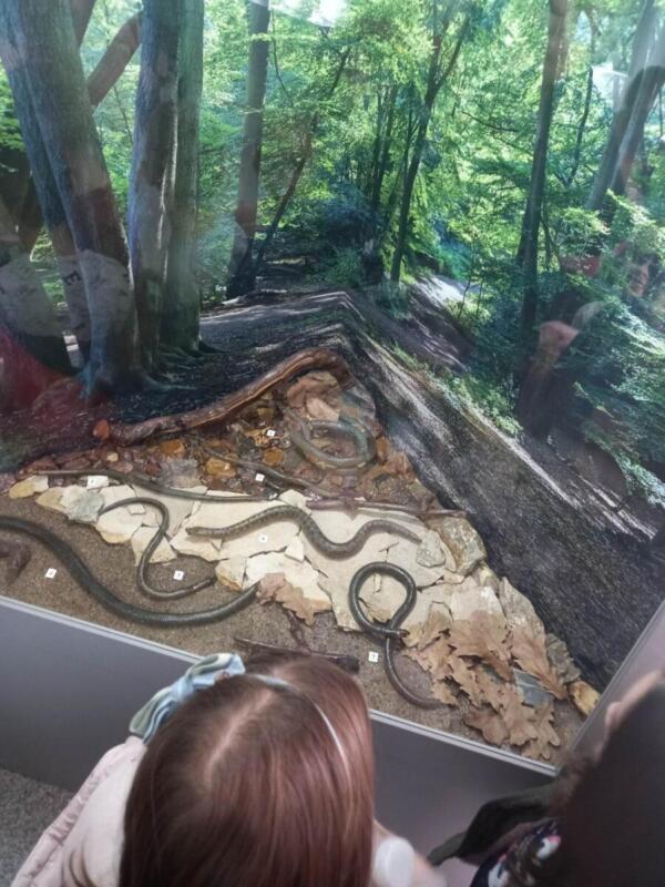 332048565 3162576640699356 5384335040880861068 n