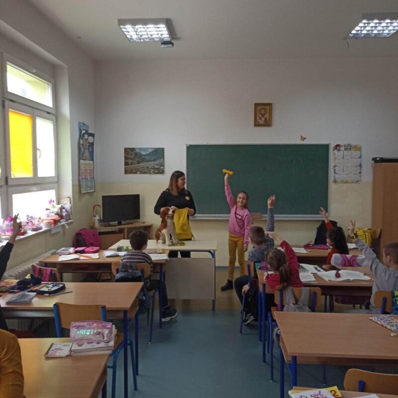 334952661 234122785768856 3324584360748973222 n