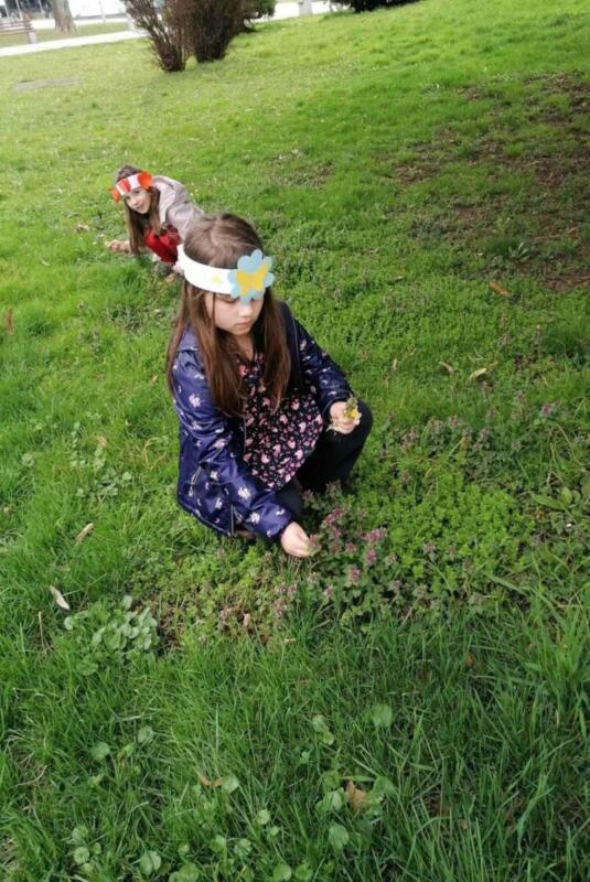 336646266 666950582100499 1715583857966285076 n