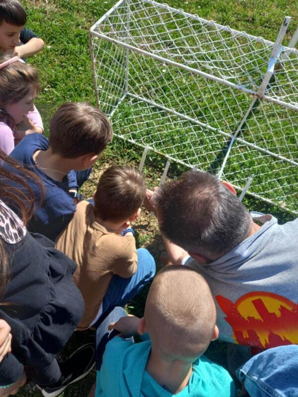 336650094 1260845787973705 6418884181169920479 n