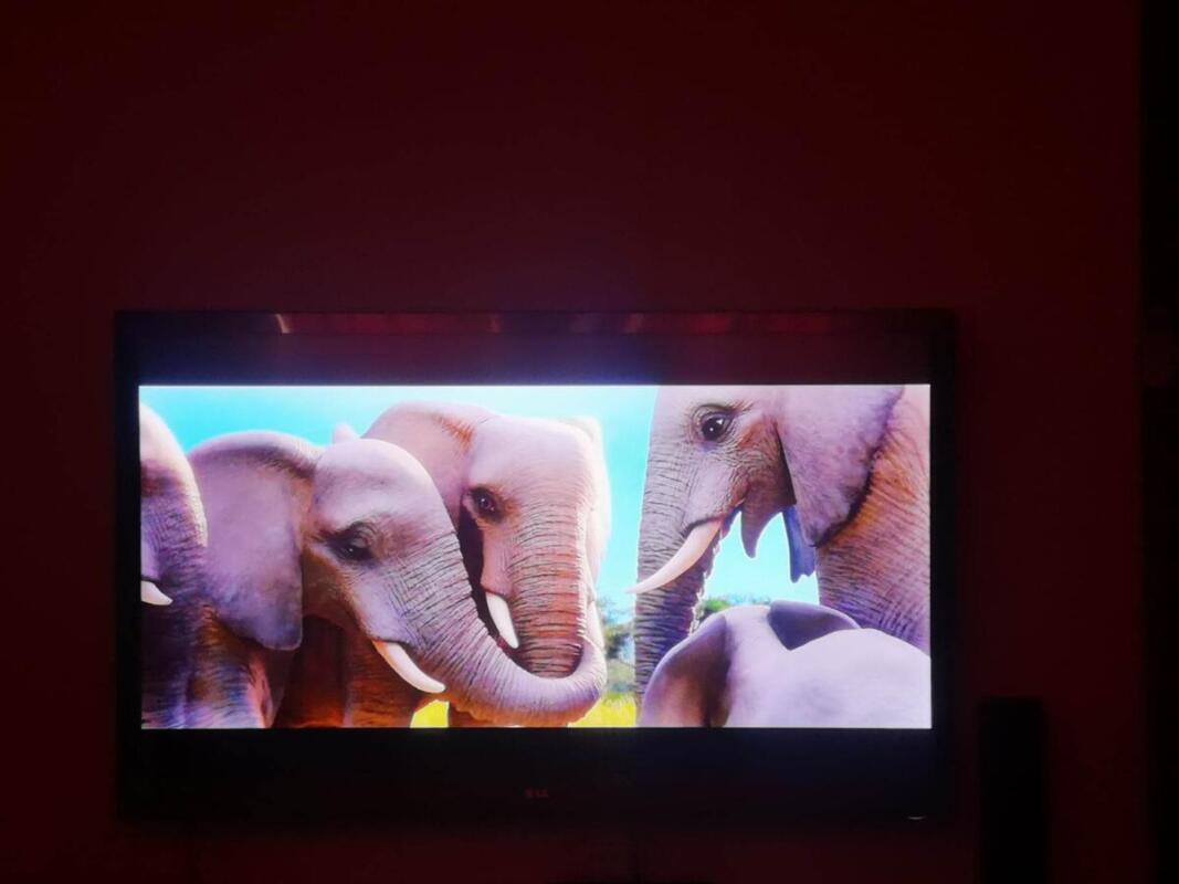 336674557 176862345195545 7393378152609754717 n