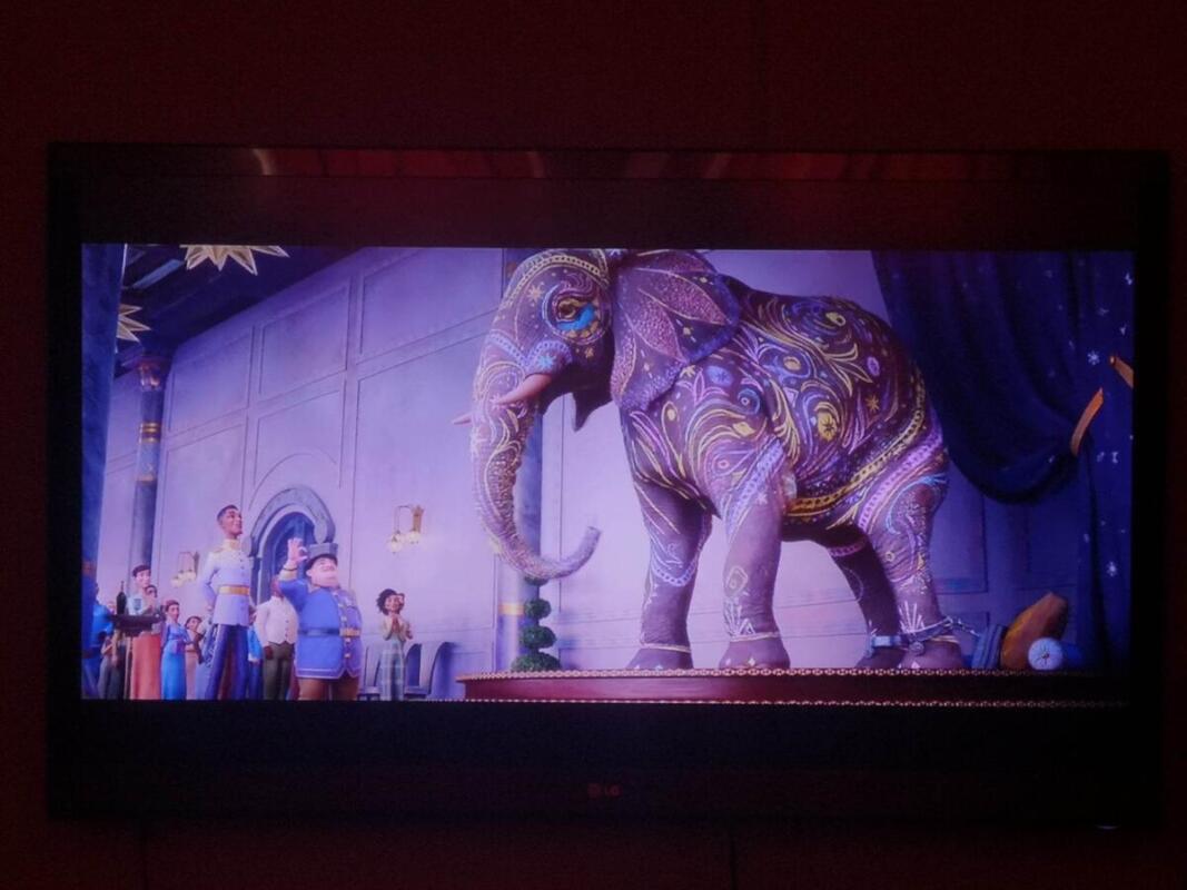 336679785 637017615103960 1050913490525902429 n