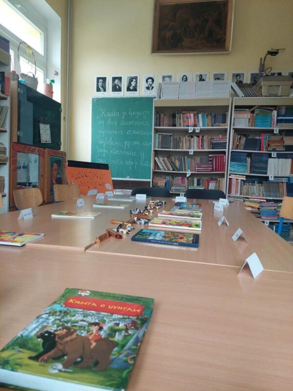 338004000 217447000933380 7797175116469684871 n