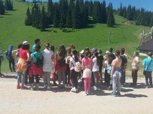 33982920_10209308555065518_6275086204597698560_n (1)