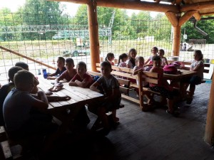 34092206_10216936428390815_1812228121600983040_n 