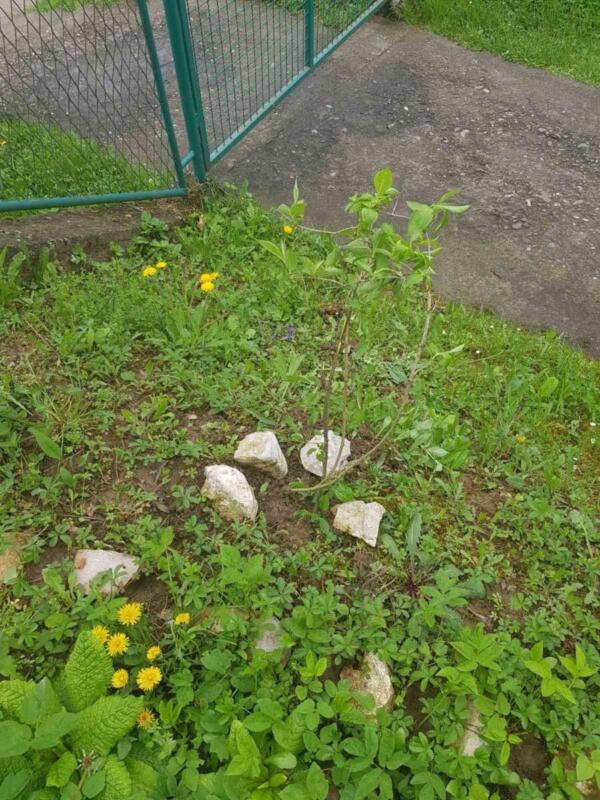 341515868 620618526257910 2273696497057483467 n