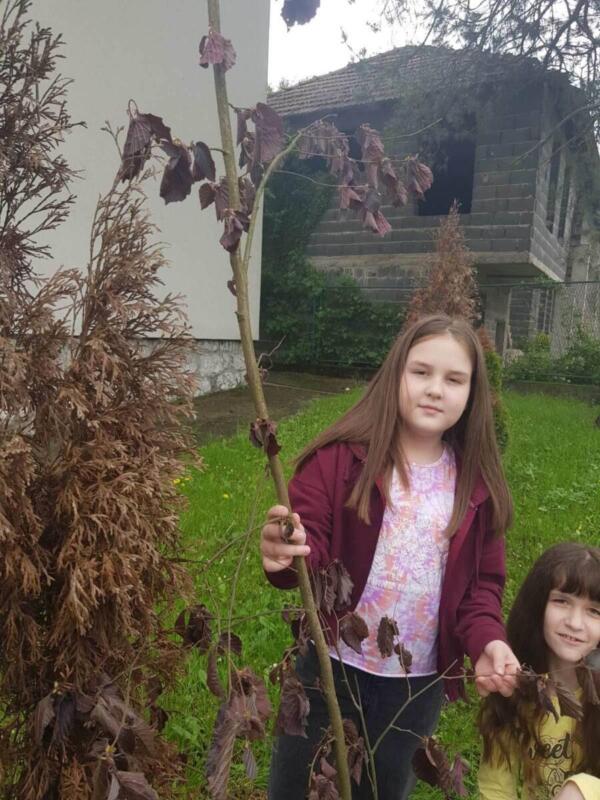 341516354 1528395037687570 2955366274562656787 n