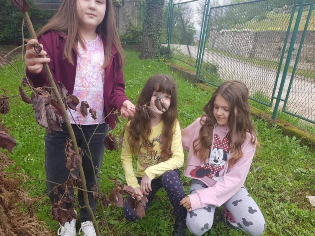 342687879 3390273041237600 3698450420555426956 n