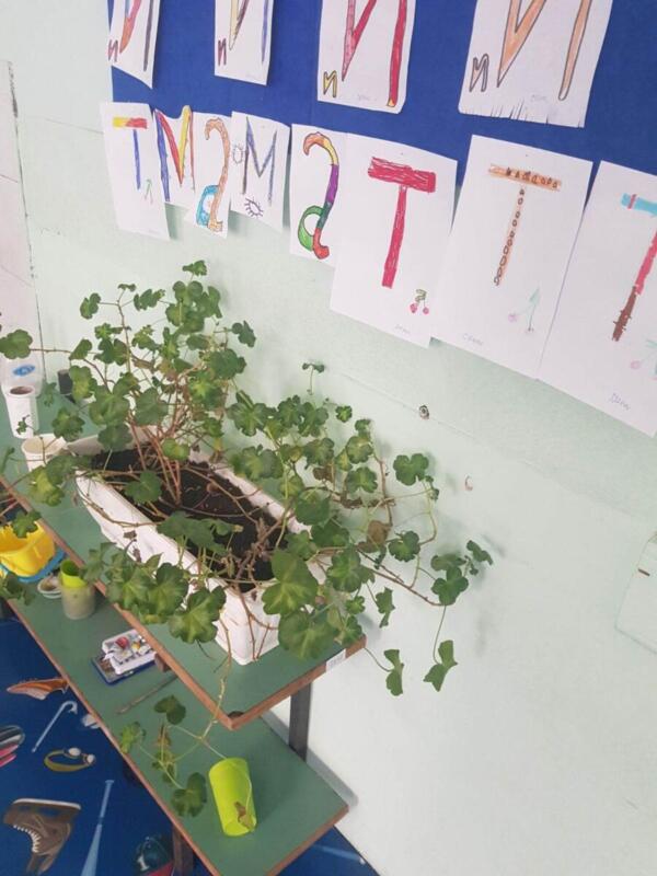 342693260 209944755132371 5086225245325011308 n