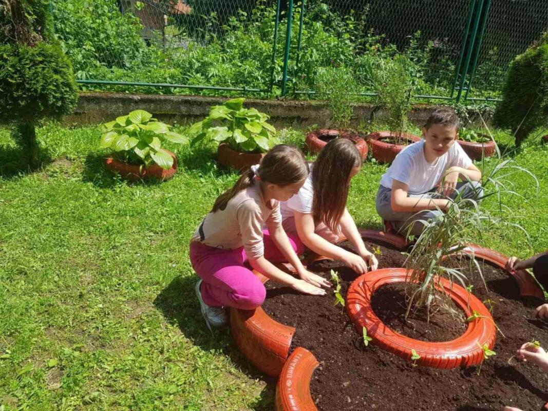 351303911 213765151490483 2064020520112084927 n