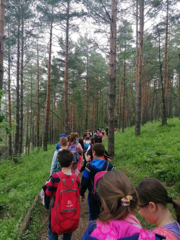 351316343 1334423357284353 6544918020366449404 n