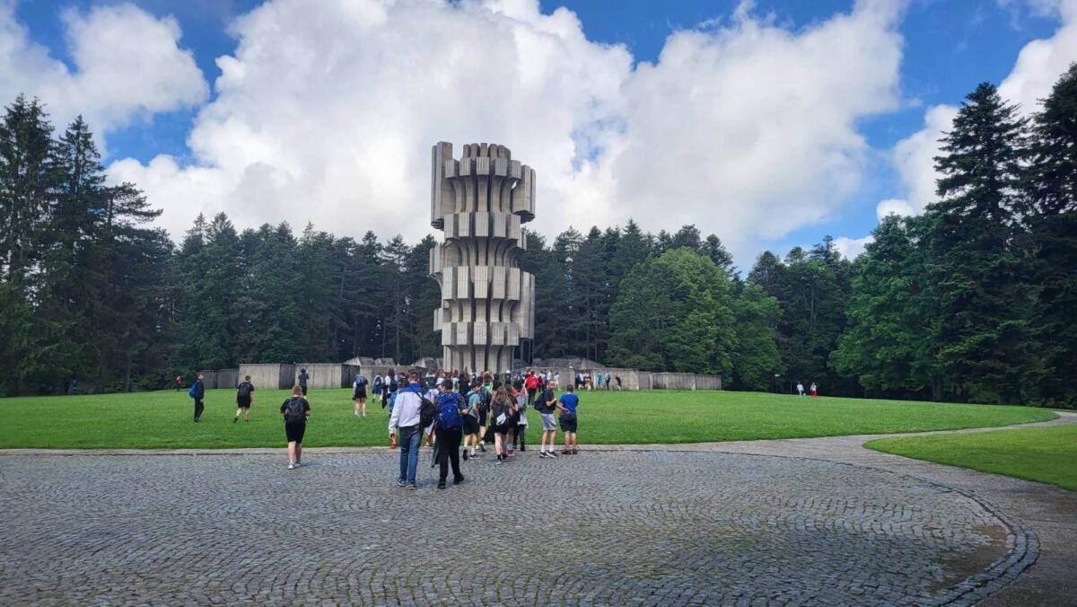 351500116 241703138572768 3200933999971258169 n