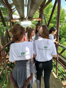 35206671_10217045479957036_368196345011372032_n