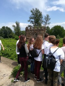 35224192_10217045477036963_3798392535970217984_n