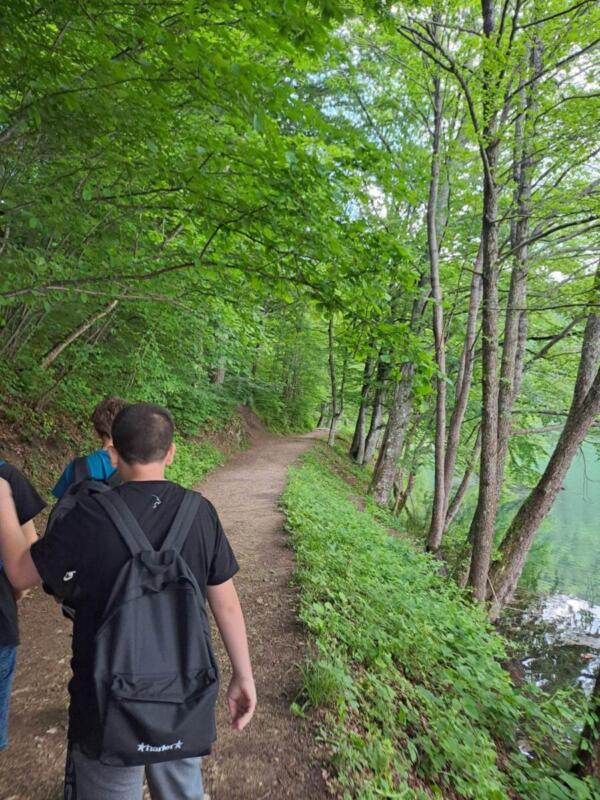 352962587 277152574727827 2201689558783869322 n