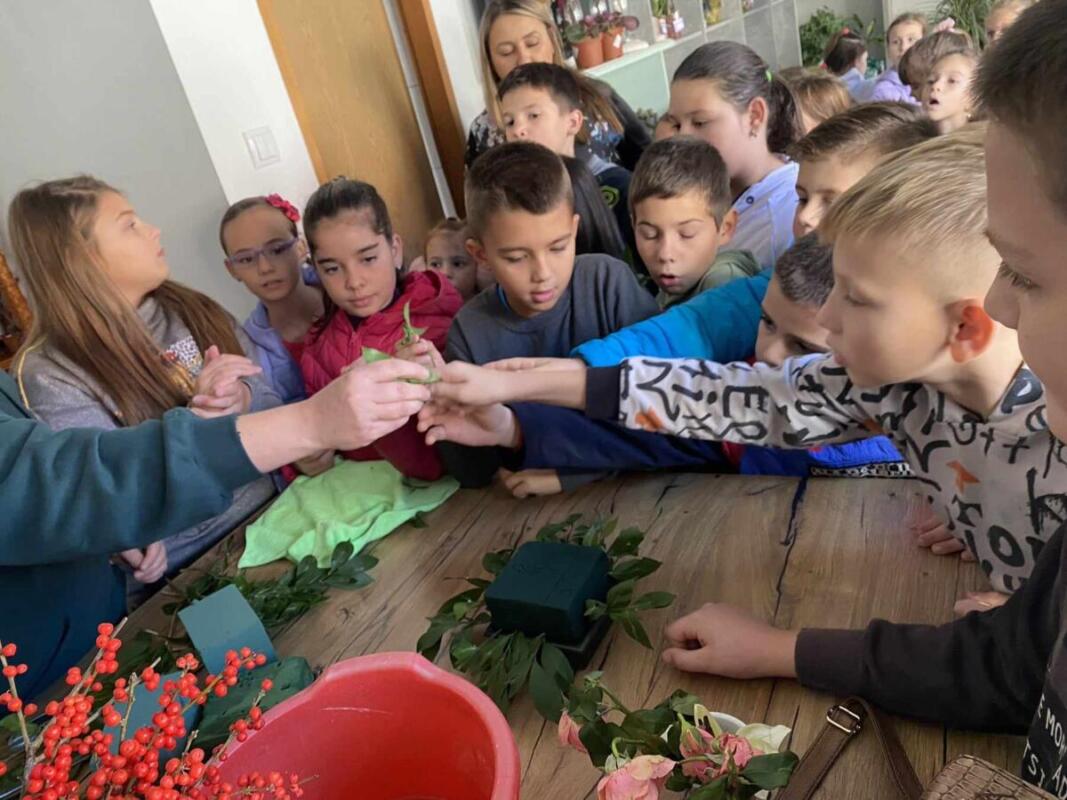 377311415 1045556629922407 5986243064773471601 n