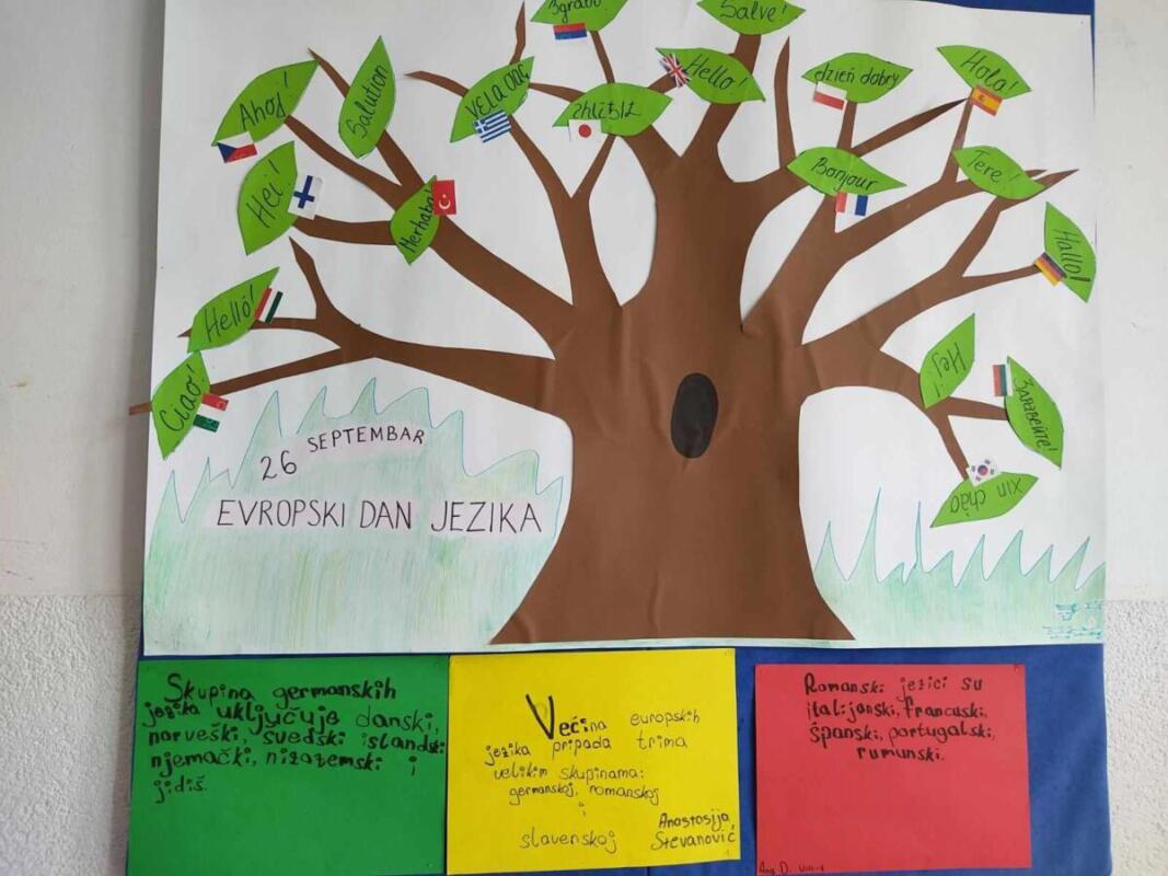 381760611 722275486433304 3281823323882948025 n