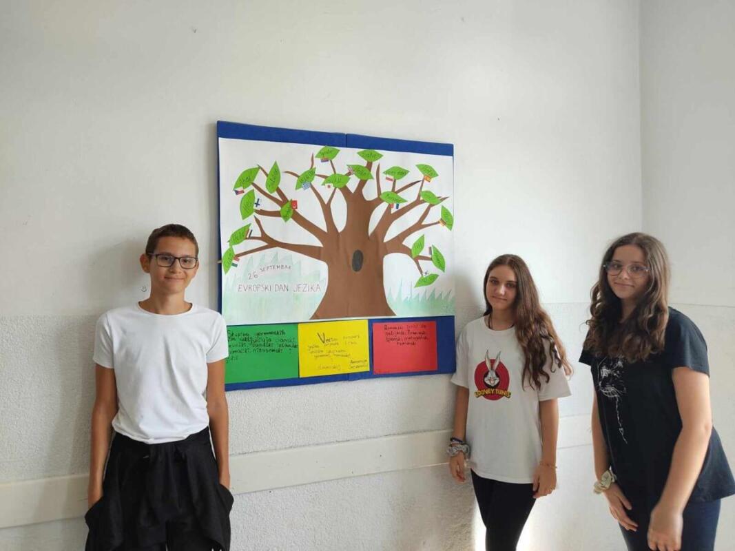 384465558 1735632590184114 5596105749662370538 n