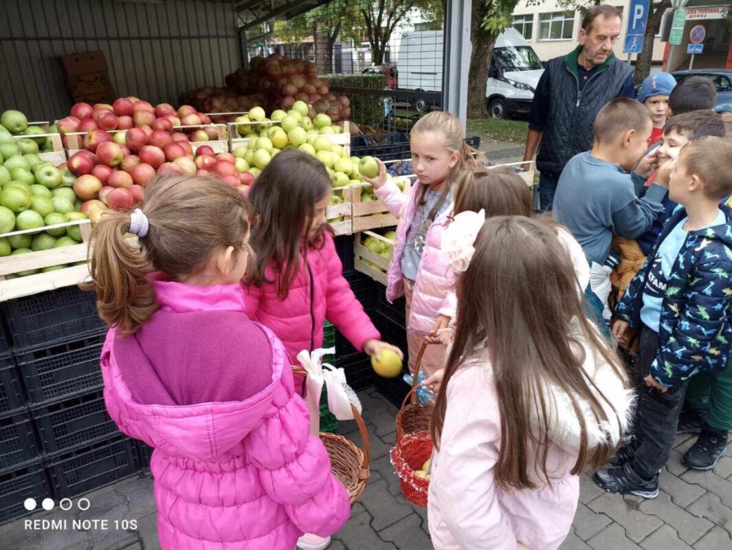 387459517 290019007185383 2637646265253633685 n