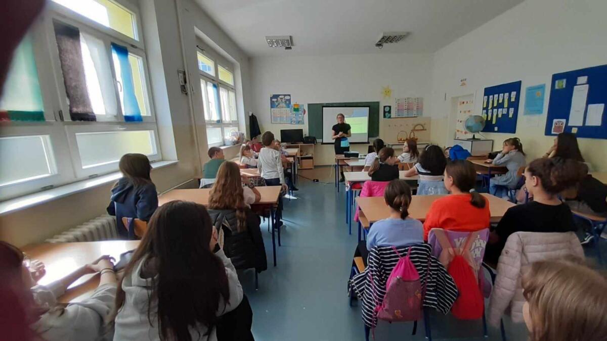 393786576 270592272052547 1684209156987458117 n