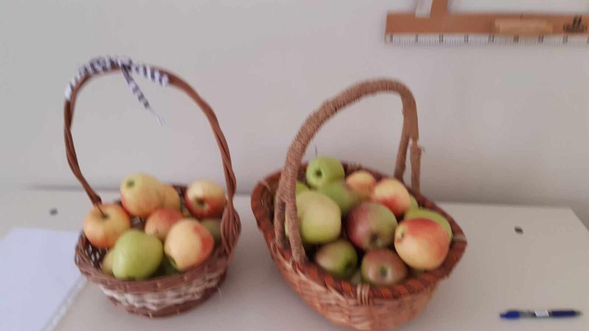 393946660 564392972493826 6179566764051313577 n