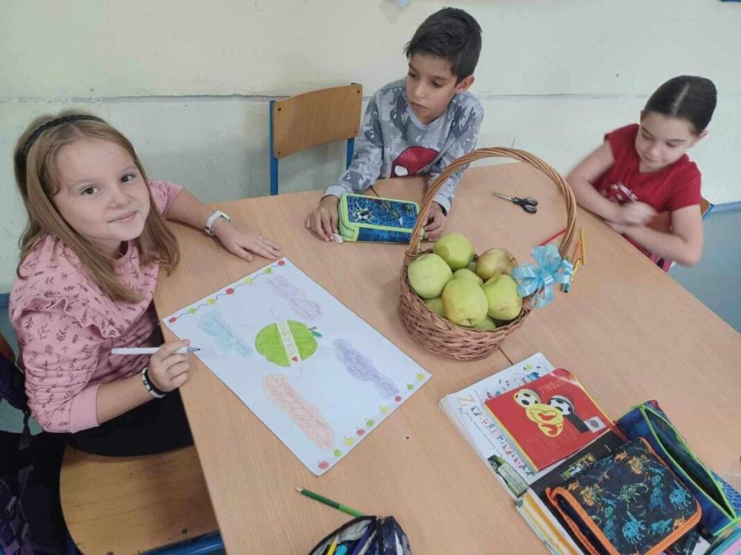 394321355 1078445793576538 5050805529278492886 n