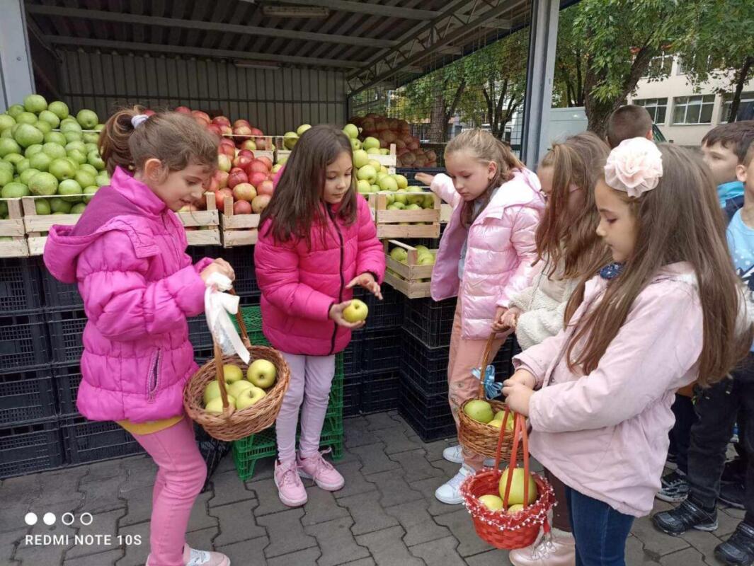 394395044 298503206369072 9112619212667050541 n