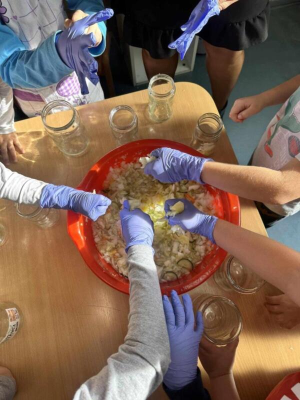 395236198 635861962051835 7413025139860221704 n