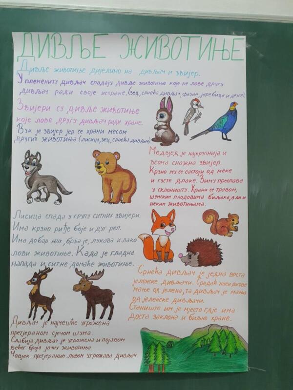 405f2363-f0b2-4bd4-96a4-3059bdcb4b2a