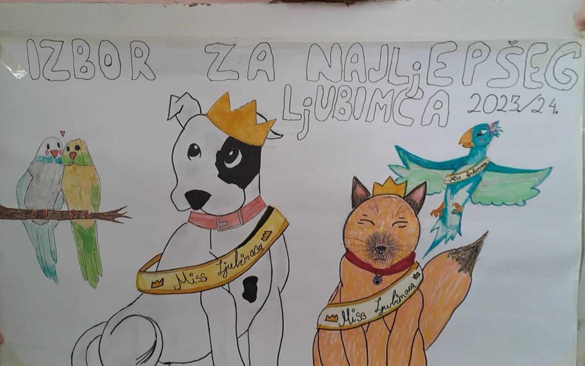 423147500 697908802508003 8814873985776536778 n