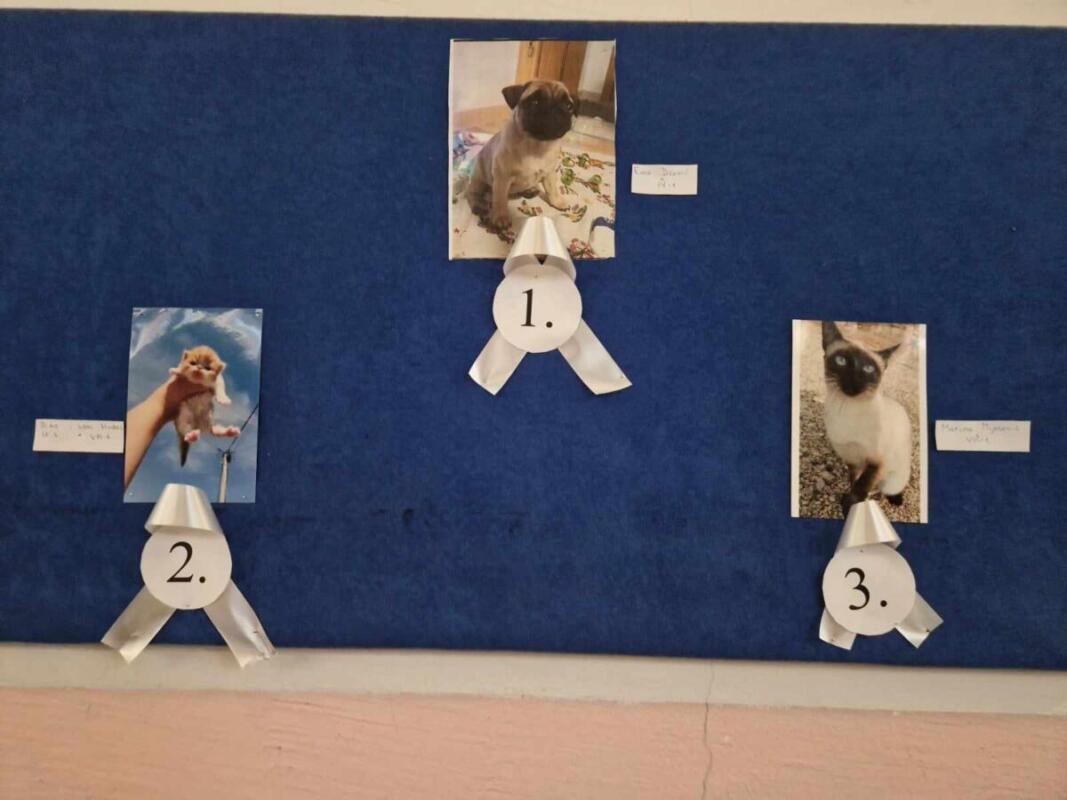 426807334 760922129145855 438034326098798308 n