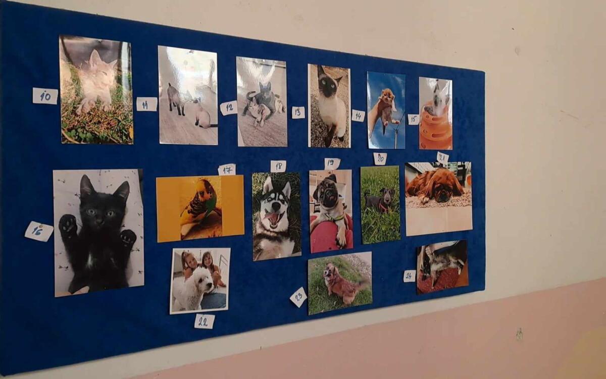 426808609 1865461760562795 8071420361699740253 n