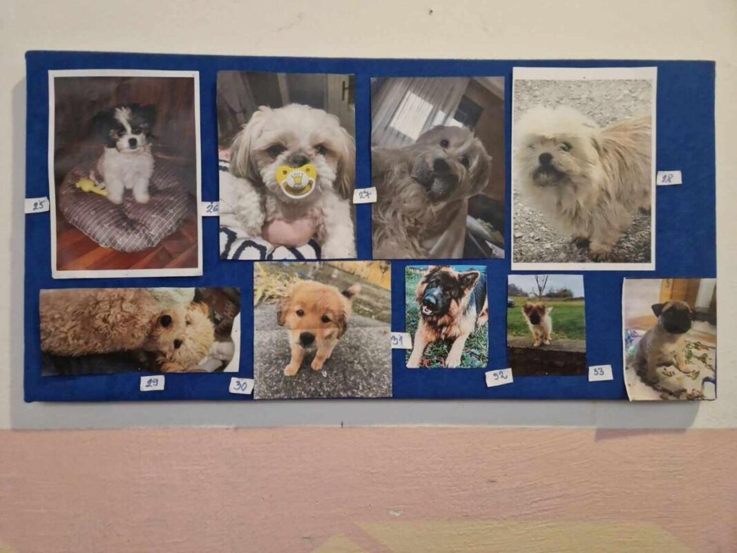 426828292 331674419868065 9187336255014058444 n