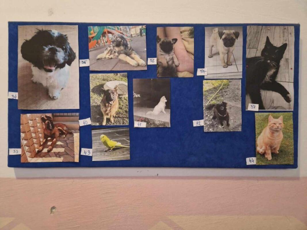 426828369 1124446925236040 6359505825588848668 n