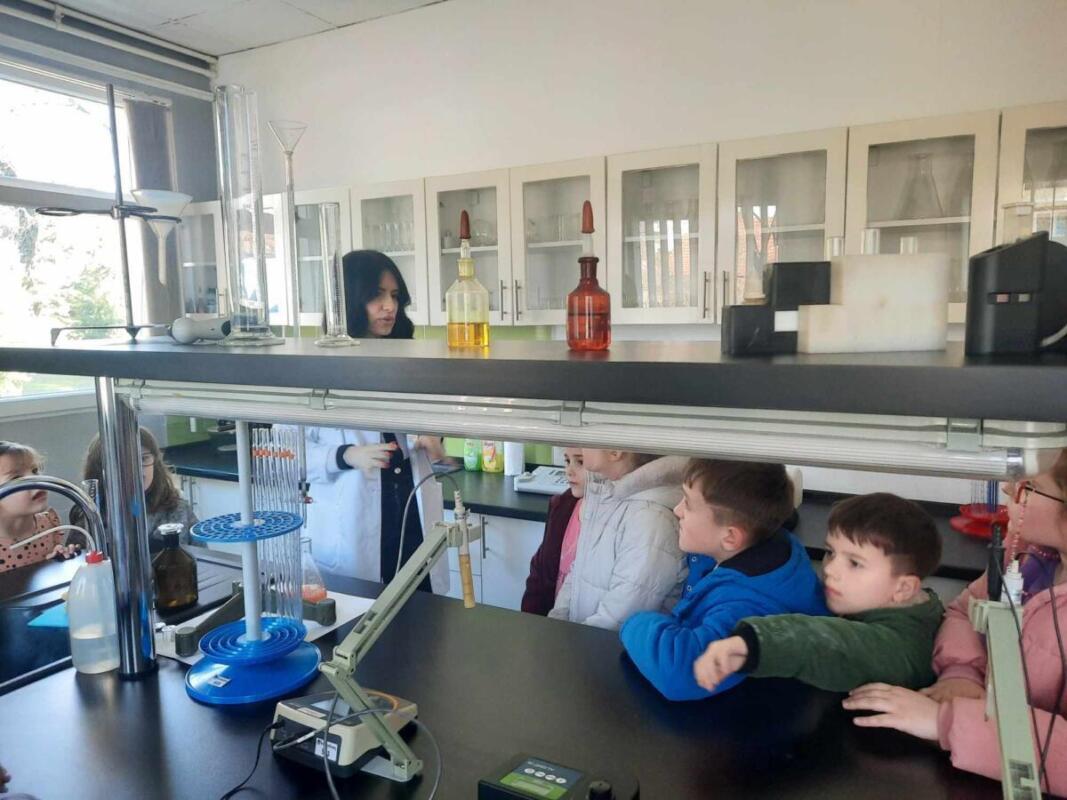 426833054 219671101238016 2946946084813935209 n