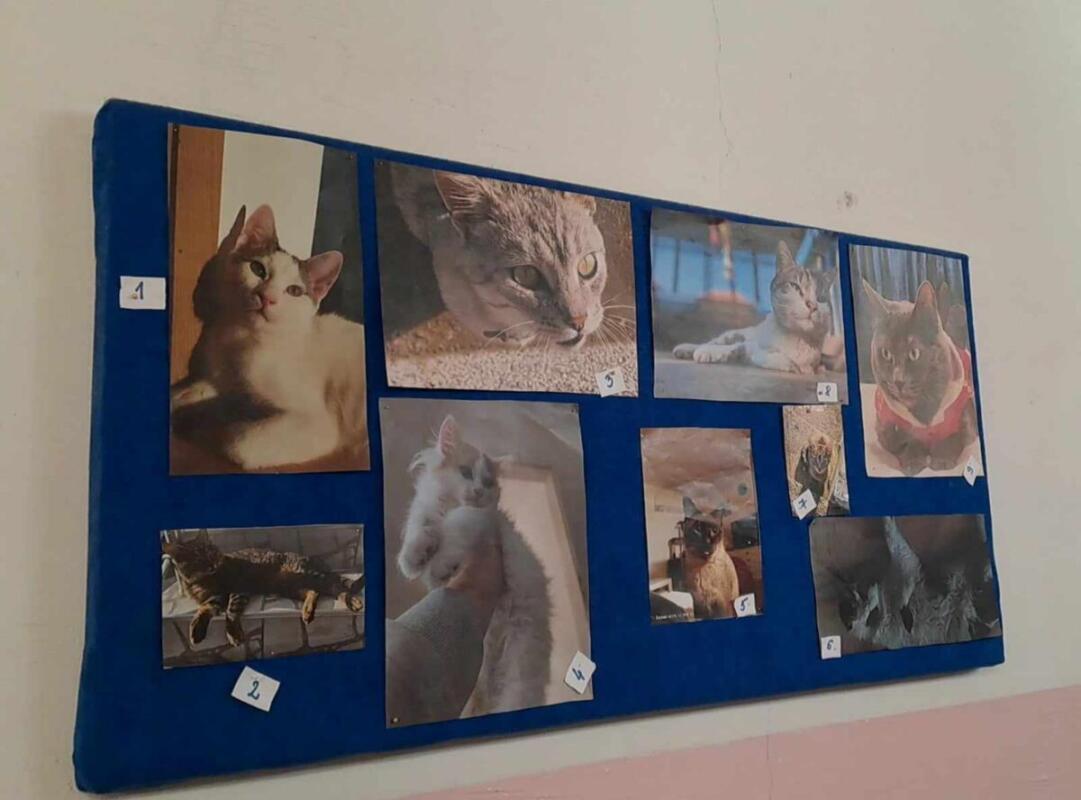 427021295 911074880507057 5273826361599403482 n