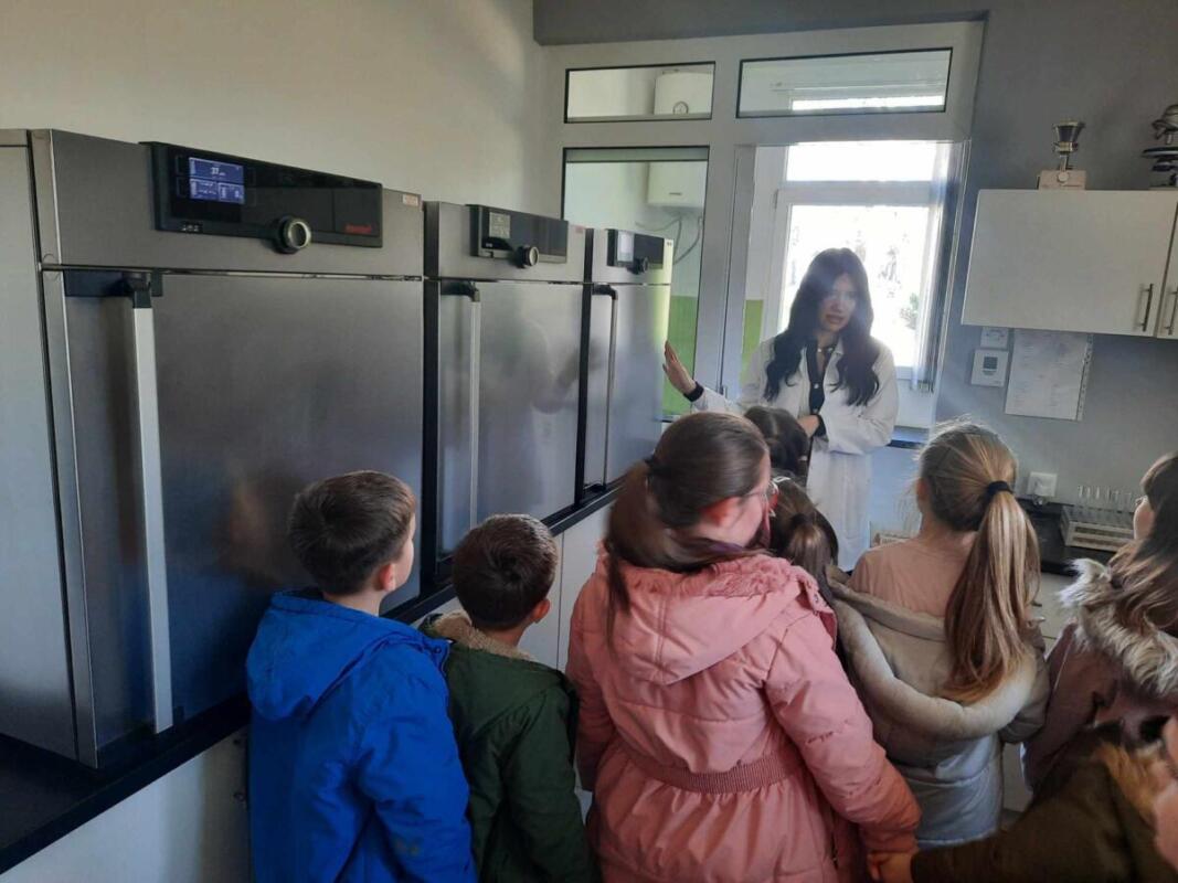 429092203 708510631137751 7748409079998987940 n