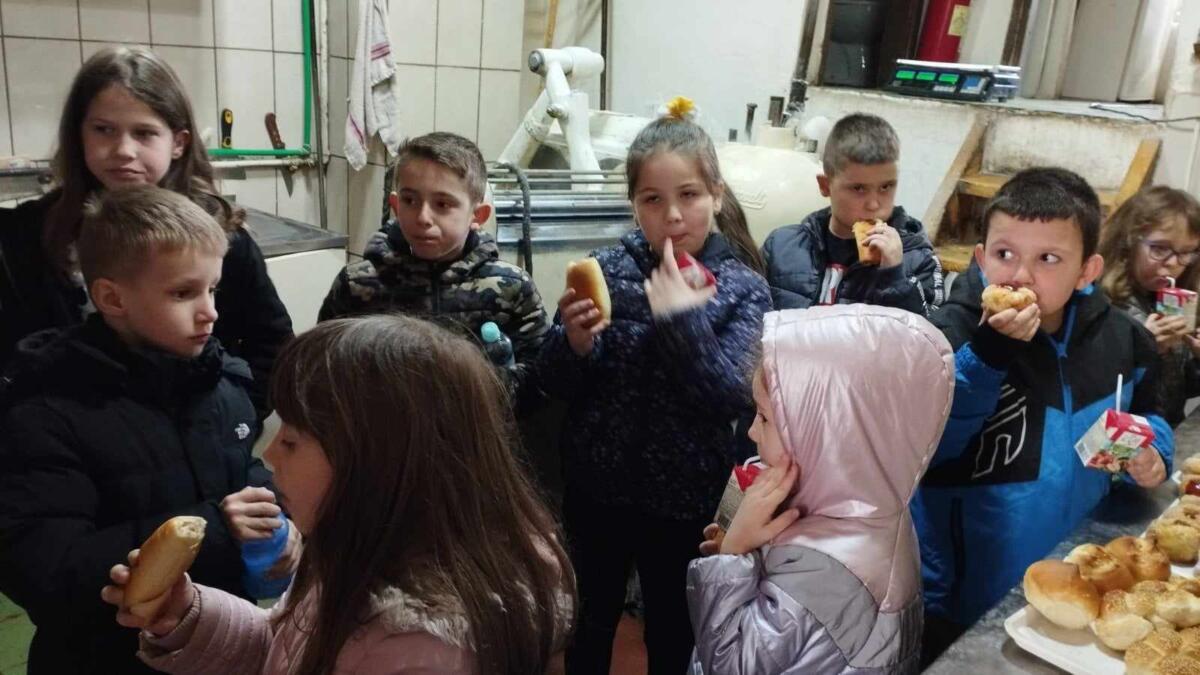 429107144 287360874168171 7835951349397275376 n - kopija