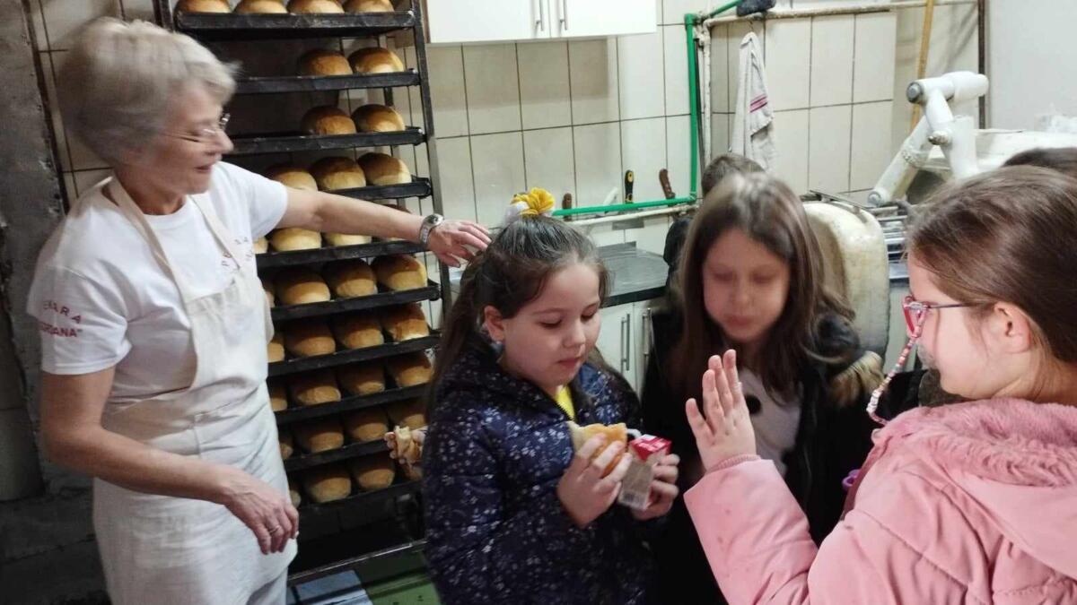 429146115 902219961633593 4514251406270490238 n