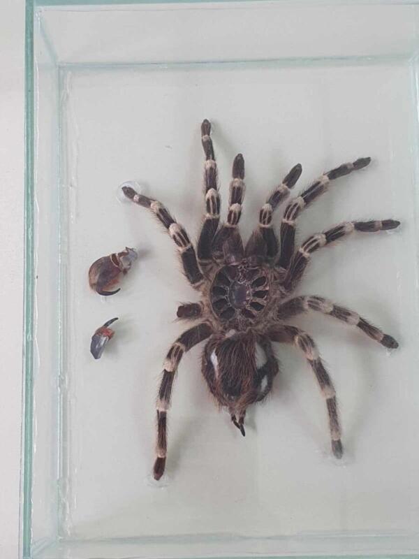 429305704 1638207930321874 5960052386541276067 n