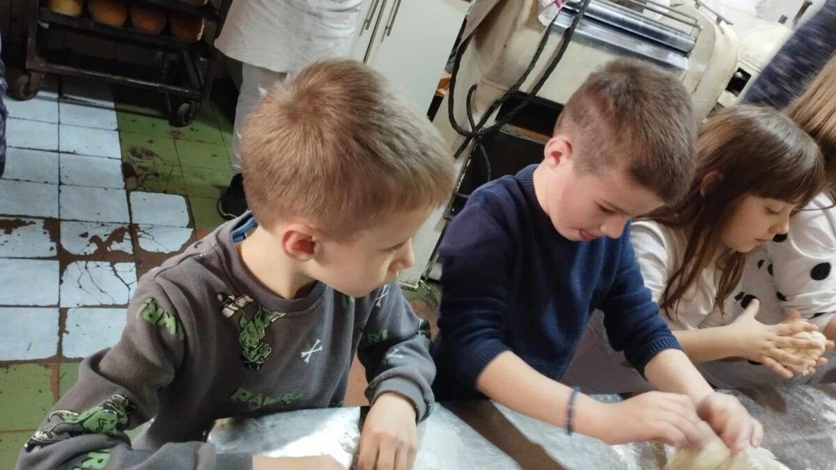 429318408 3509621099252963 4866678409309947720 n