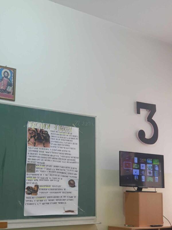 429636902 1746419339198375 6537972172080048764 n