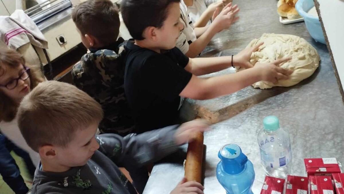 429639806 773538074243297 7664354126386486297 n