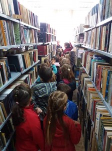 42980398_539915763117069_2608551307803361280_n