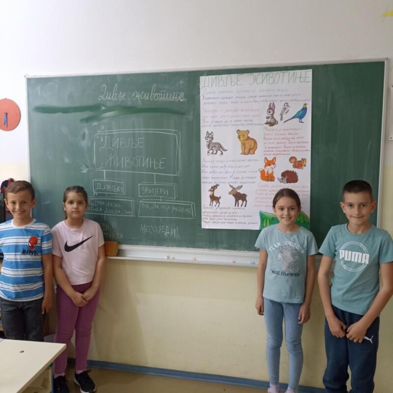 a4c8944f-5d62-42d3-a312-eff7a74e6386