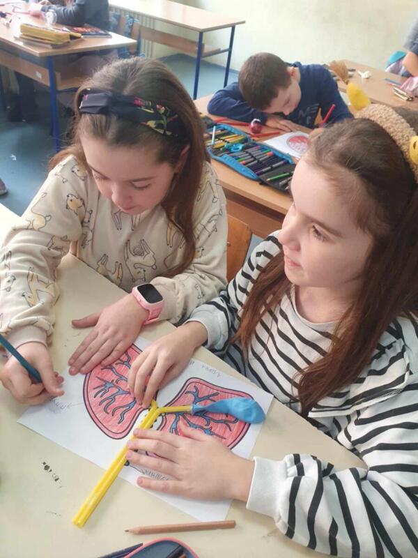 bbad2438-2fbb-4f52-828b-6ec9fd1b007f