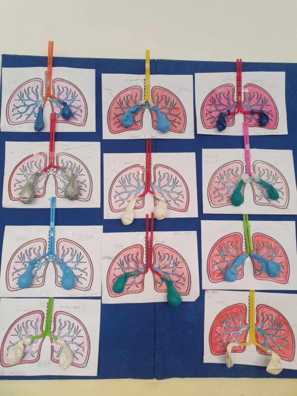 c3ad5a63-a94b-4c4d-8941-c2e3b09412af