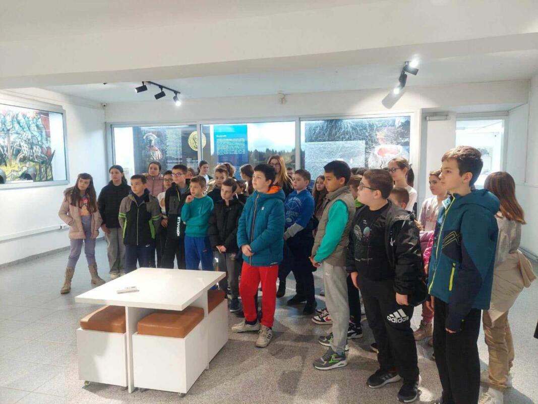 f86e54c1-dd86-4436-8105-23184d55aae3